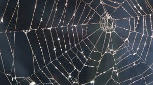 A Thrilling Alternative To A Haunted House