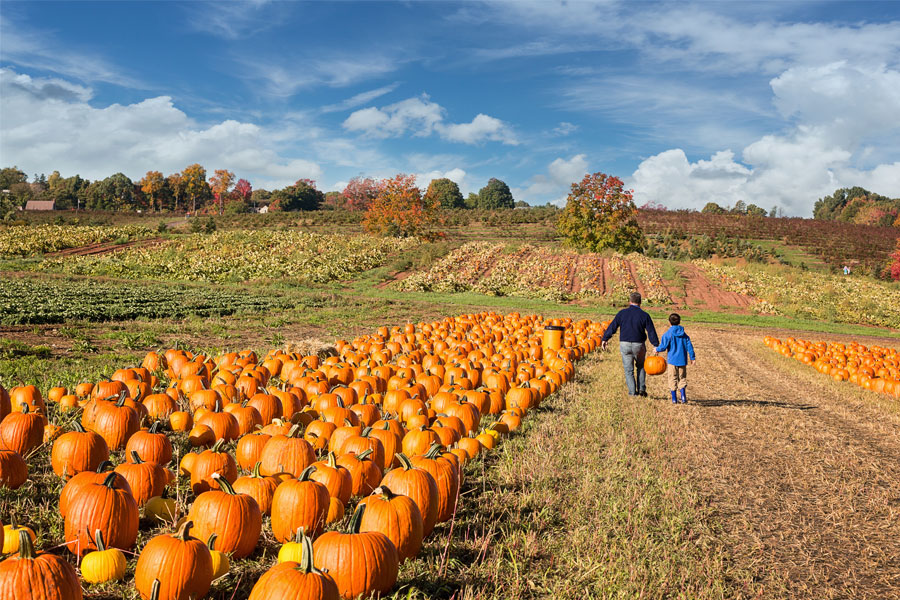 Fall Fun in Downtown Denver