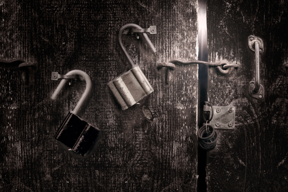 7 Best Afternoon Activities To Enjoy In Denver